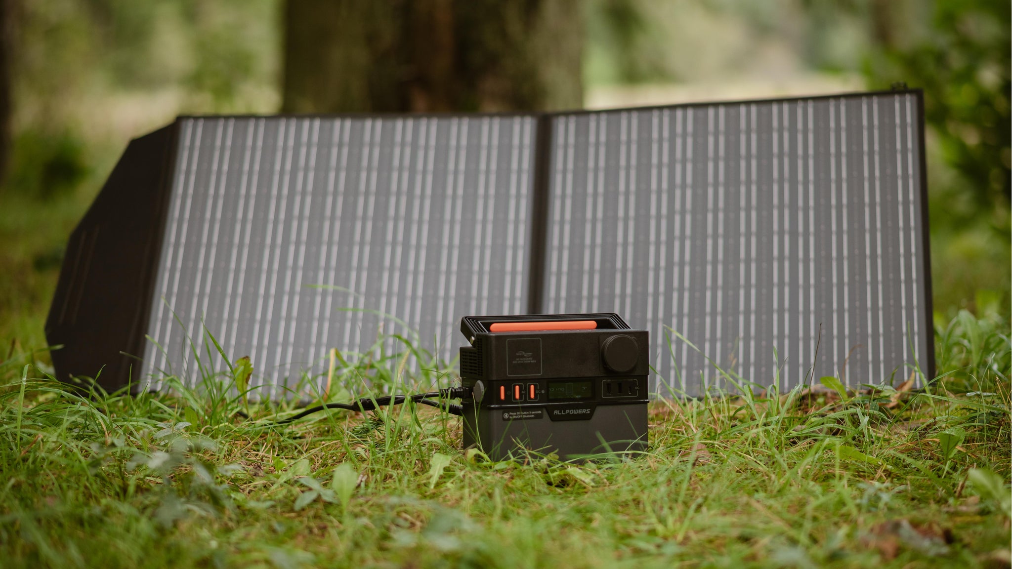 Do Solar Panels Really Save You Money