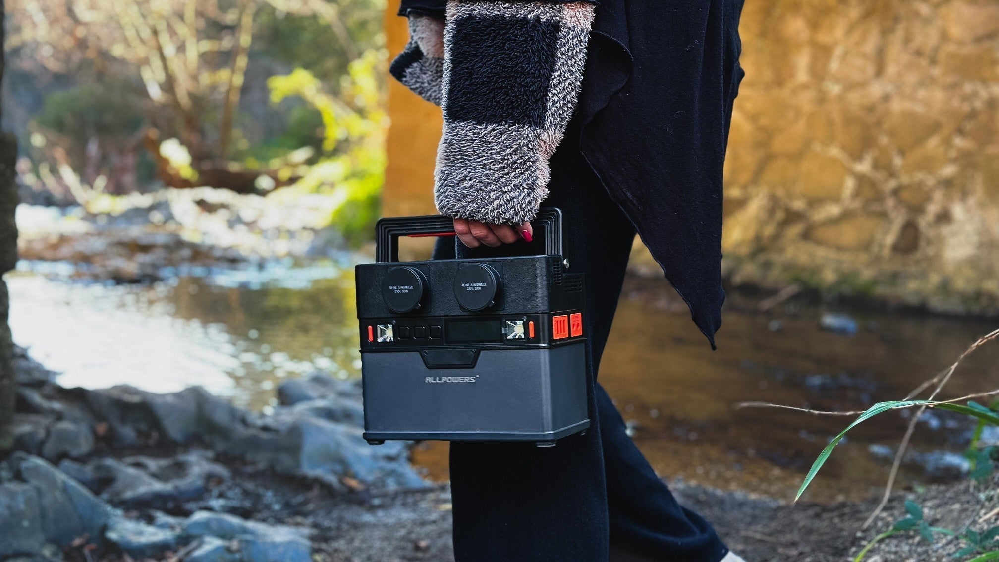 LiFePO4 vs Lithium-Ion